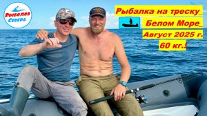 ТРЕСКА ЗУБАТКА. РЫБАЛКА НА БЕЛОМ МОРЕ (летний берег) #Рыболов_Севера #треска #зубатка