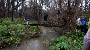 2025.11.08 Прогулка по р. Валава
