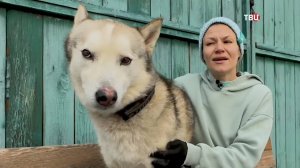 Сервис "Моспитомец" помогает животным из приютов обрести новый дом / Город новостей на ТВЦ