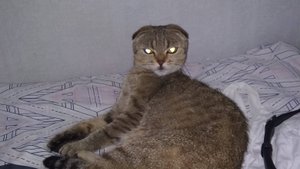 Кто это сделал..!😆