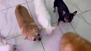 Обязательно все надо выпросить.