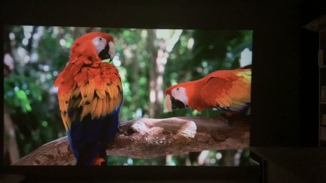 УНИКАЛЬНЫЙ НЕДОРОГОЙ ПРОЕКТОР Vevshao A15 смотреть онлайн