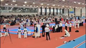 日本拳法 世界武術連盟