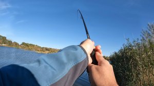 Схватил СПИННИНГ 2 РУКАМИ! ЧТО ЗА РЫБА ТАМ? Рыбалка на щуку! Ловля щуки осенью