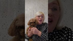 ОДНОЗВУЧНО ГРЯМИТ КОЛОКОЛЧИК