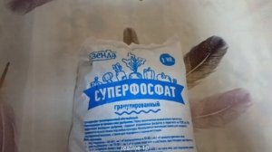 «Кормилец корней Зачем вашим растениям нужен суперфосфат и как его правильно подавать»