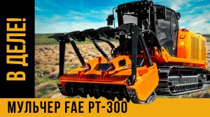 Грязный бизнес / МУЛЬЧЕР FAE Prime Tech PT 300 / Реальная работа на МАКСИМАЛКАХ / Расчистка от ДКР