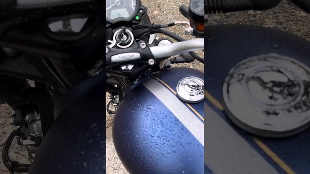 Triumph Street Scrambler 900 2021 смотреть онлайн