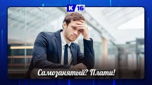 В Совете Федерации предлагают отменить упрощённый налоговый режим для самозанятых