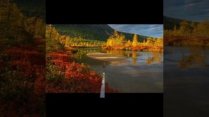 Жить для Иисуса, с Ним умирать