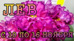 ЛЕВ таро прогноз на неделю с 10 по 16 НОЯБРЯ 2025 года.