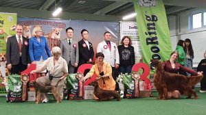 13.09.2025, СПб. Клуб "Невский Дебют-1" (РКФ, РФСС). Выставка собак "НЕВСКИЙ БОМОНД" (САС, ЧРКФ)