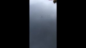 07.11.25. Бедринское озеро