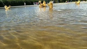 В Петергофе.