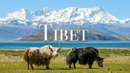 Тибет  — фильм о живописных местах с расслабляющей музыкой.