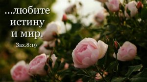 Облеки нас в одежды мудрости | стихи христианские