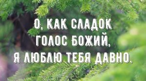 Долго в сумраке скитался - минус мой 1
