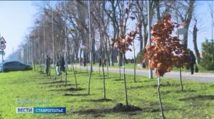 Вести. Ставропольский край» 6.11.2025 (21.10)