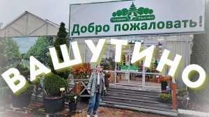 Наша первая проф выставка🌲•Кооперация питомников•Взгляд участника