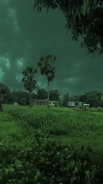 Прелюдия к буре...