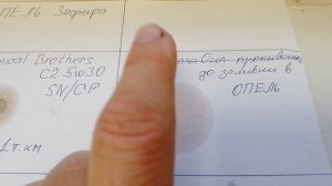 промывка ДВС, ополаскивание) перед заменой масла.