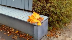 По Заневскому парку