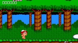 PCE - New Adventure Island