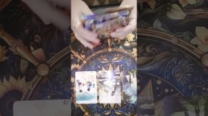 отношения ноябрь стрелец