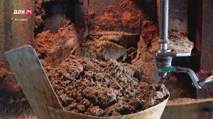 Трудности есть, но мы сильнее: донские аграрии завершают уборку подсолнечника