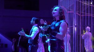 Во Владивостоксом государственном цирке стартовали гастроли программы «Империя львиц»