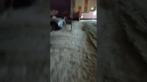 две маршрутки.