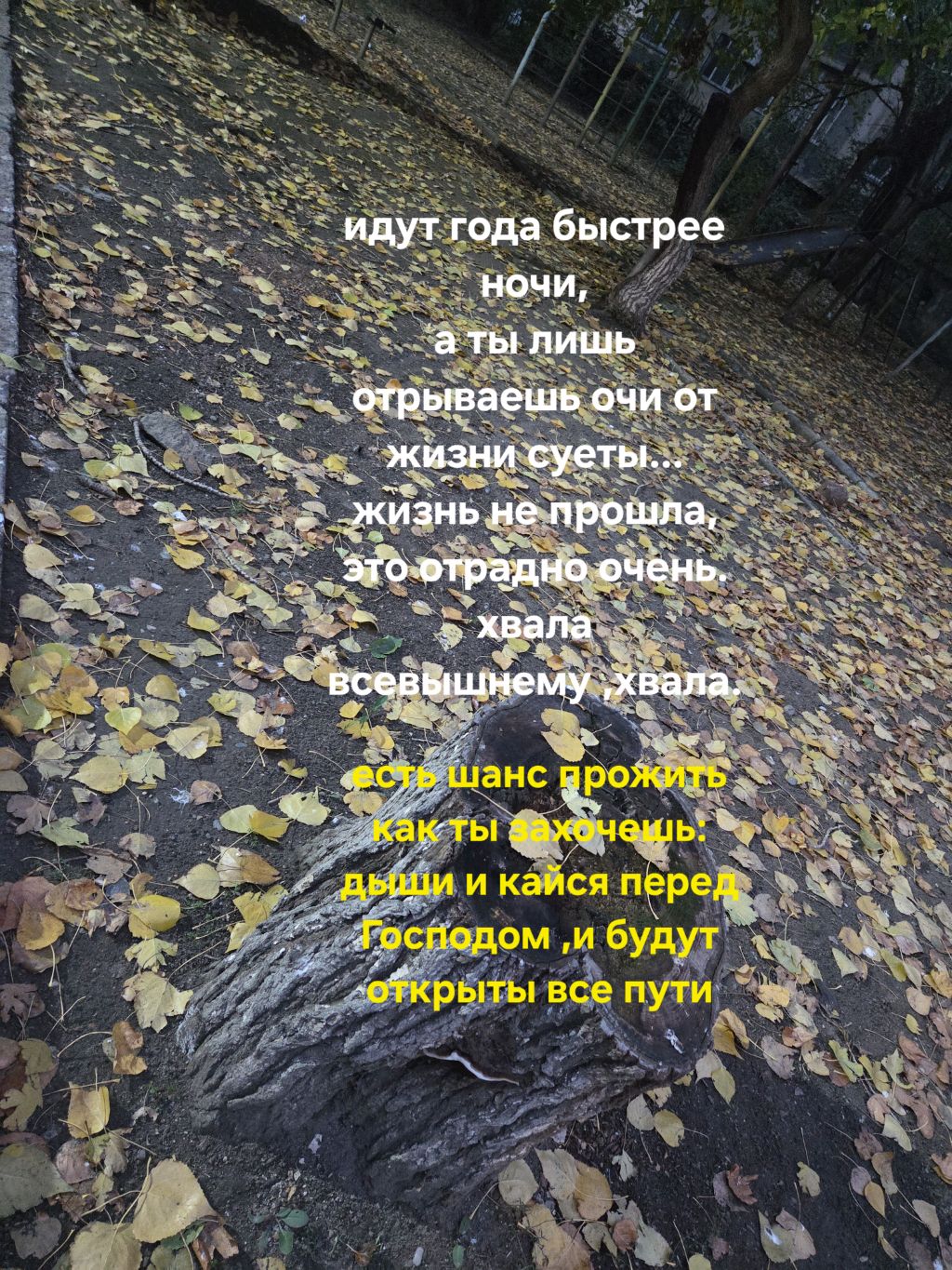 творчество