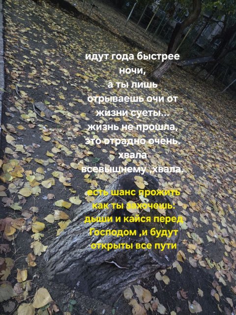 творчество