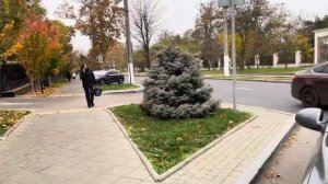 ОДЕССА 7 НОЯБРЯ 2025. 400 ТЫС $ УКРАДЕНЫ ПОЛИЦЕЙСКИМ! СНОВА ДЖОЛИ! ДИАСПОРА КАНАДЫ ЗОВЕТ НА ФРОНТ! (