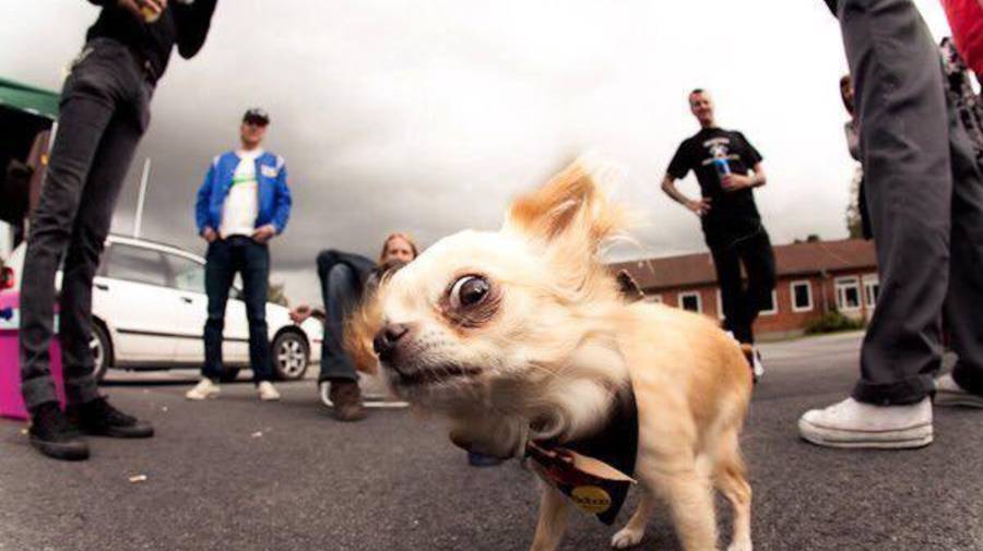 Журнал Скорпион - 57