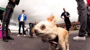 Журнал Скорпион - 57