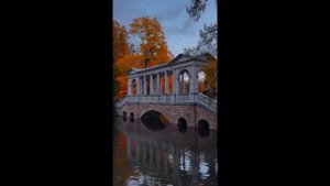 доброе утро хорошего дня