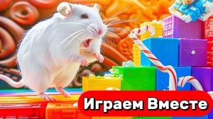 ЛАБИРИНТ С ЛОВУШКАМИ И МОНСТРАМИ ДЛЯ УМНОГО ХОМЯКА 🐹 ВИДЕО ПРО ХОМЯКА ДЛЯ ДЕТЕЙ