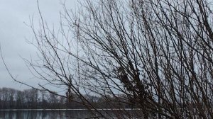 Красивое место у реки. Зона отдыха. Поздняя осень. город Коломна.