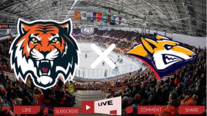 Амур - Металлург | Текстовая трансляция