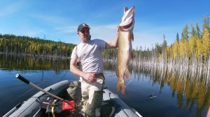 Крупная щука БВХ