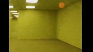 Как видит моя кошка когда я пытаюсь поймать её 🤣🤣🤣🤣🤣