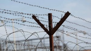 Молодая мама-душительница попала в колонию за убийство плачущей дочки