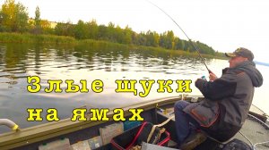 ЩУКА из под ЛЕЩА. Рыбалка с подписчиком.