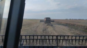 Уборочная рапса. Часть 2. Торум785.