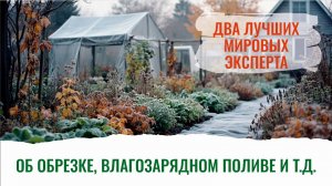 Осенний, живительный полив в октябре. Что нужно успеть сделать в саду? Смотрите
