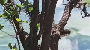 Сёрфингист🏄♂️😂