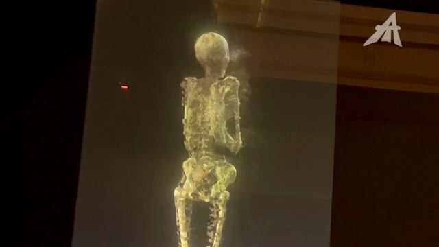 Мумии передрались насмерть смотреть онлайн