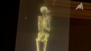 Мумии передрались насмерть