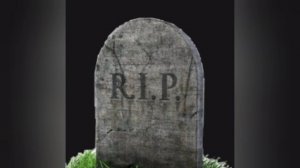 Солнце без мозгов слив 1